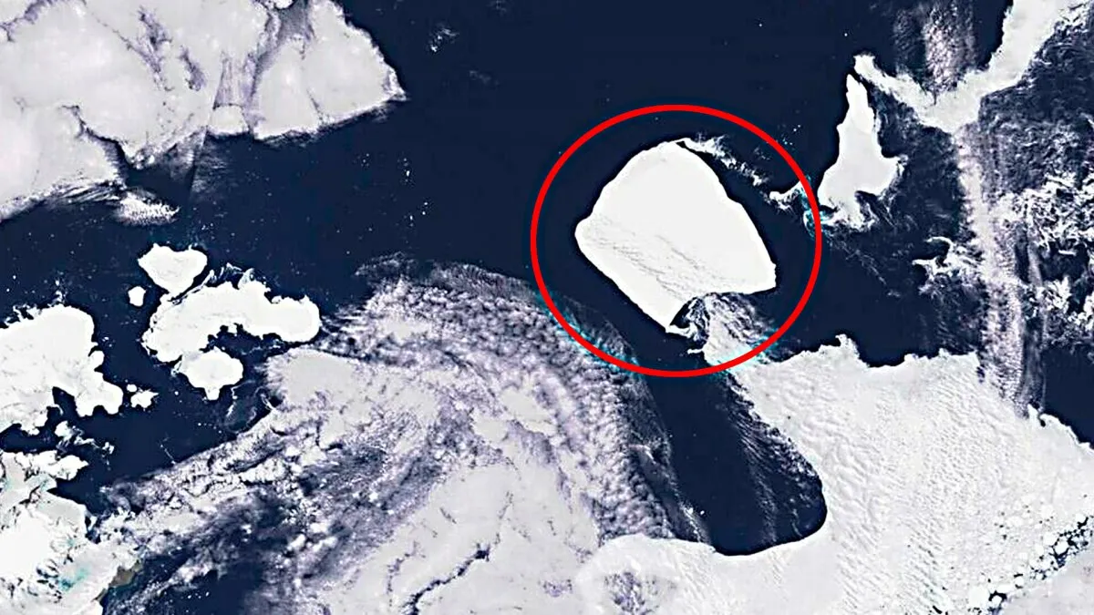 El Iceberg, conocido como “megaberg”, se redujo ahora a unos 1.700 kilómetros cuadrados (656 millas cuadradas), según Meijers, lo que equivale aproximadamente al tamaño del Gran Londres. El Iceberg, conocido como “megaberg”, se redujo ahora a unos 1.700 kilómetros cuadrados (656 millas cuadradas), según Meijers, lo que equivale aproximadamente al tamaño del Gran Londres.