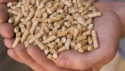 altText(¡Qué no se meta Kicillof!: Proyectan térmicas con biocombustible)}