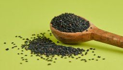 ¿Qué le pasa a tu colesterol cuando comes semillas de sésamo negro o blanco?
