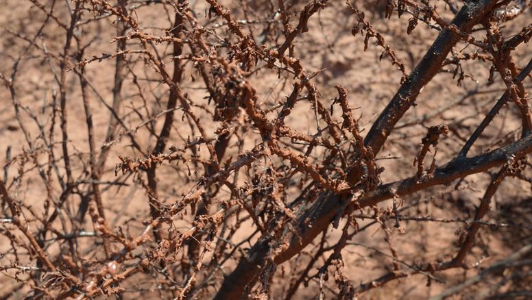 ¿'Chernobyl salteño'? La Justicia inspeccionó el pozo de Lomas de Olmedo por fluidos y gases