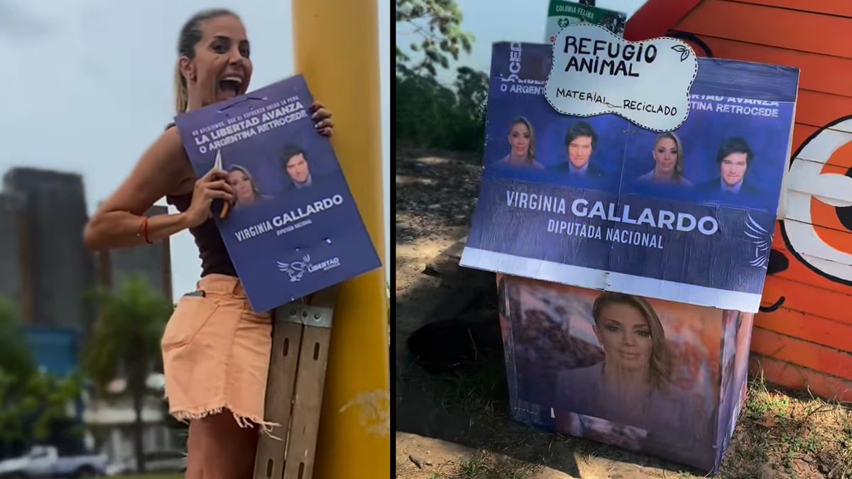 Virginia Gallardo tuvo la idea de fabricar cuchas para perros callejeros… reciclando sus afiches de campaña. Las críticas en redes no se hicieron esperar.