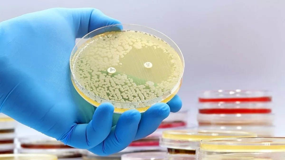 Un grupo de científicos creó un sistema de Inteligencia Artificial (IA) para reforzar los tratamientos médicos con antibióticos. Un grupo de científicos creó un sistema de Inteligencia Artificial (IA) para reforzar los tratamientos médicos con antibióticos.