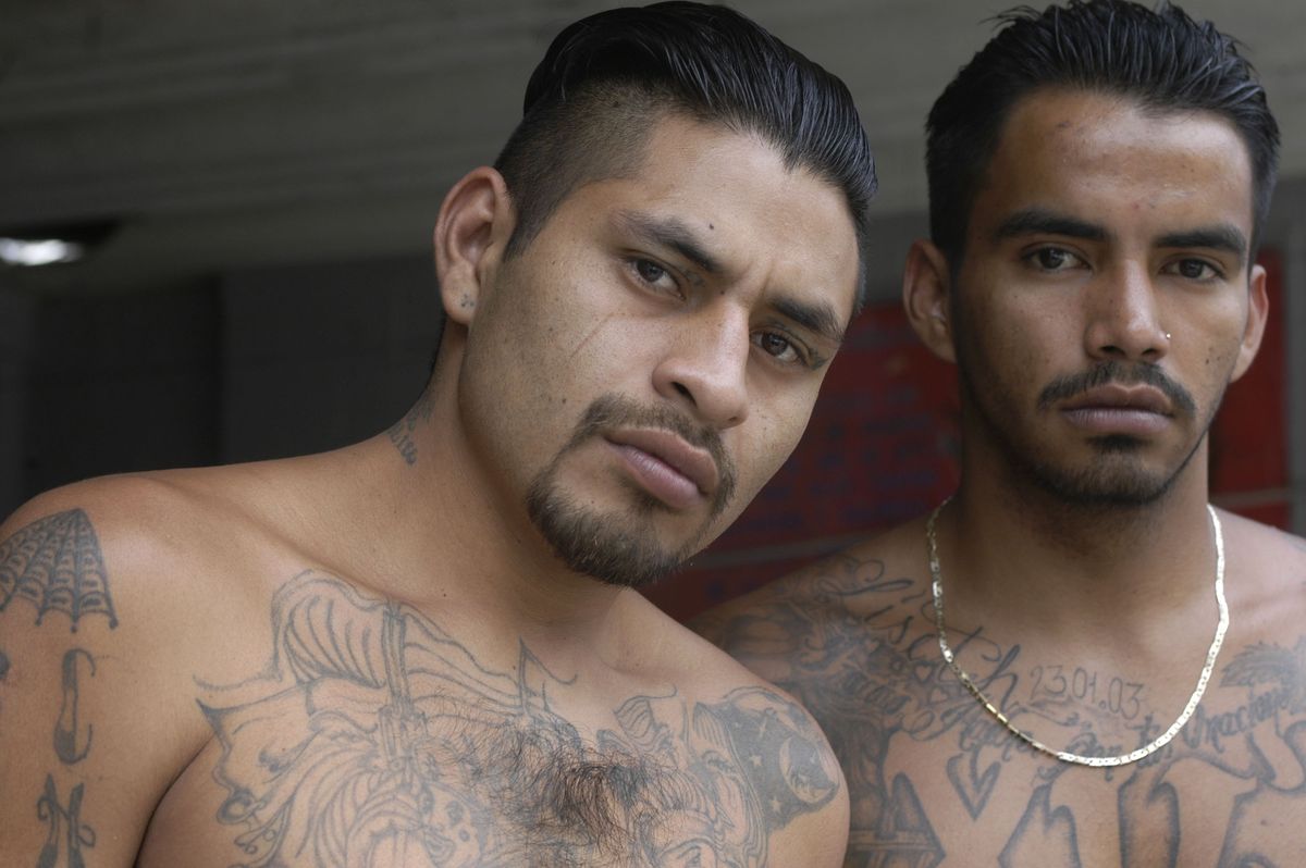 Cuando empezaron a llegar las 'maras' que expulsó Nayib Bukele. Cuando empezaron a llegar las 'maras' que expulsó Nayib Bukele.