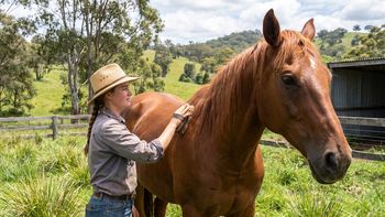 Australia busca voluntarios para cuidar caballos en 2027 con alojamiento y tours gratis