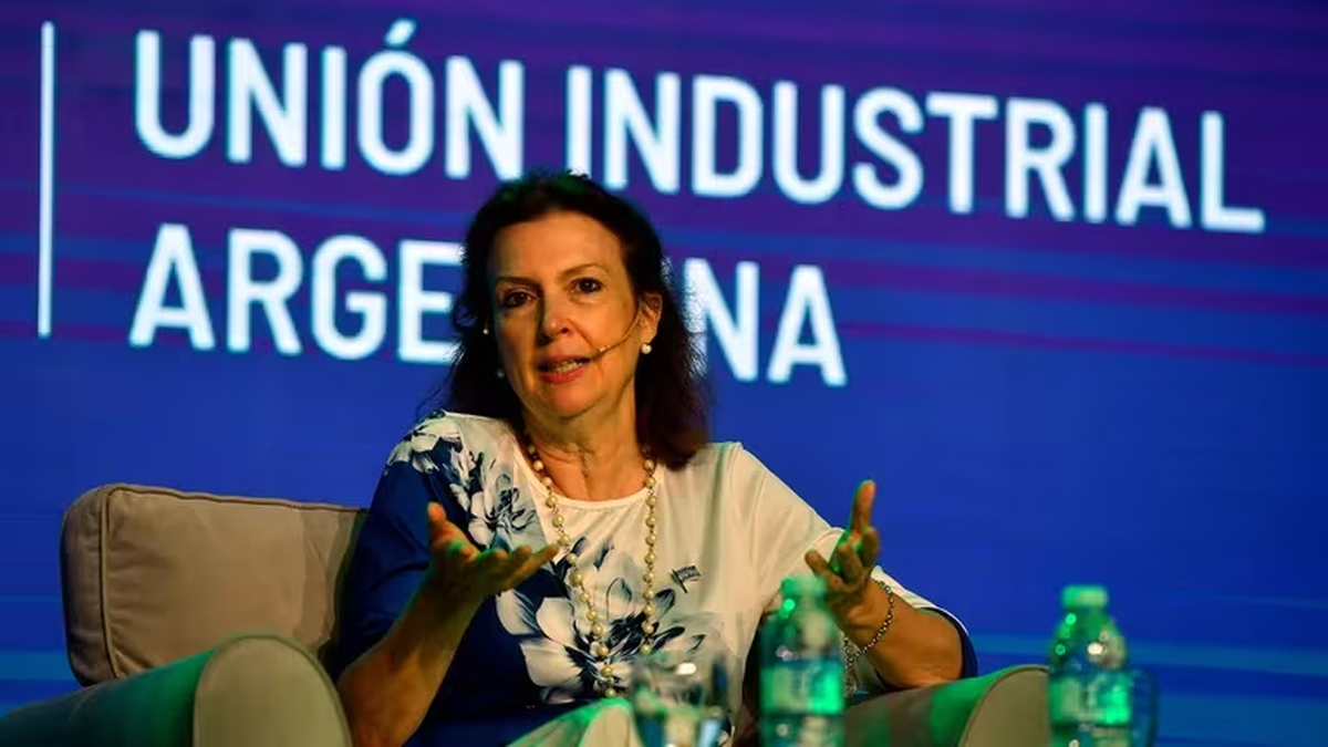 Diana Mondino dio algunas definiciones sobre las políticas económicas que adoptará la gestión de Javier Milei. Diana Mondino dio algunas definiciones sobre las políticas económicas que adoptará la gestión de Javier Milei.