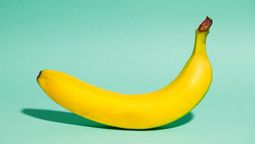 Encogimiento del pene: ¿Es posible?