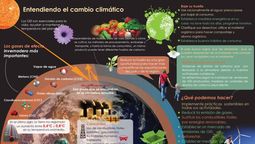 Argentina tiene una enorme oportunidad porque combina capacidad técnica, productores muy profesionalizados y experiencia en sistemas productivos eficientes. Argentina tiene una enorme oportunidad porque combina capacidad técnica, productores muy profesionalizados y experiencia en sistemas productivos eficientes.