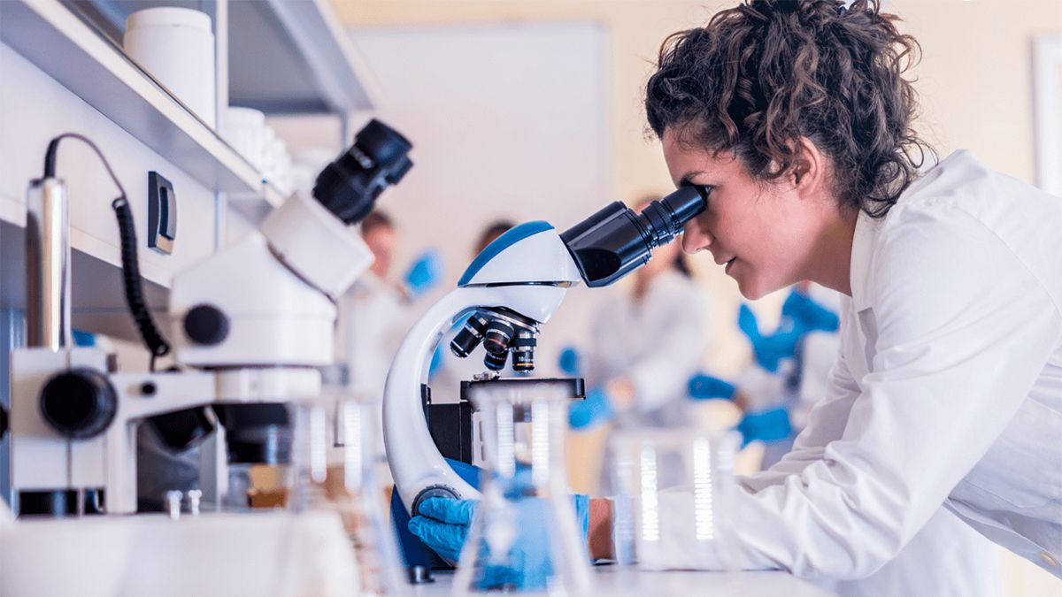 La Inteligencia Artificial (IA) no para de avanzar y de sorprender, ahora, permite probar tratamientos contra el cáncer antes de aplicarlos al paciente. La Inteligencia Artificial (IA) no para de avanzar y de sorprender, ahora, permite probar tratamientos contra el cáncer antes de aplicarlos al paciente.