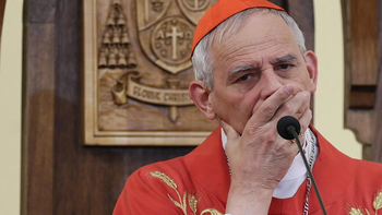 El Vaticano insiste con su misión de paz en Estados Unidos. El Vaticano insiste con su misión de paz en Estados Unidos.