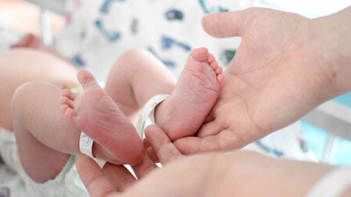 Los nacimientos en Argentina sufrieron un derrumbe casi a la mitad en una década, ya impacta en jubilaciones, salud y educación. Los nacimientos en Argentina sufrieron un derrumbe casi a la mitad en una década, ya impacta en jubilaciones, salud y educación.
