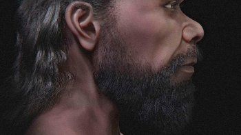 La ciencia cada vez sorprende más, y más. La ciencia cada vez sorprende más, y más.