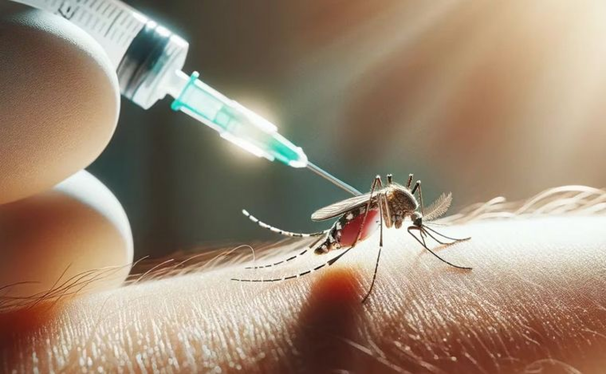 Santa Fe ya compró 160.000 dosis de vacunas contra el dengue. Santa Fe ya compró 160.000 dosis de vacunas contra el dengue. 