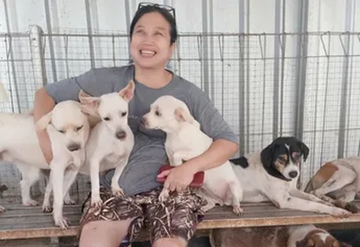 Somali, una mujer, médico de profesión, rescató más de 1400 perros de mercados de carne de Indonesia para darles una segunda oportunidad y cuidarlos en su refugio de Yakarta. Somali, una mujer, médico de profesión, rescató más de 1400 perros de mercados de carne de Indonesia para darles una segunda oportunidad y cuidarlos en su refugio de Yakarta. 