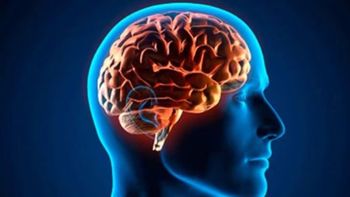 Tu cerebro funcionará mejor si dejas de consumir estos alimentos en exceso. Tu cerebro funcionará mejor si dejas de consumir estos alimentos en exceso.