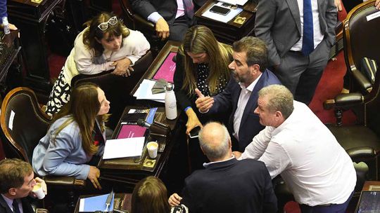 El derrumbe del centro: el PRO, la UCR y la Coalición Cívica pierden peso en el Congreso y buscan rearmarse