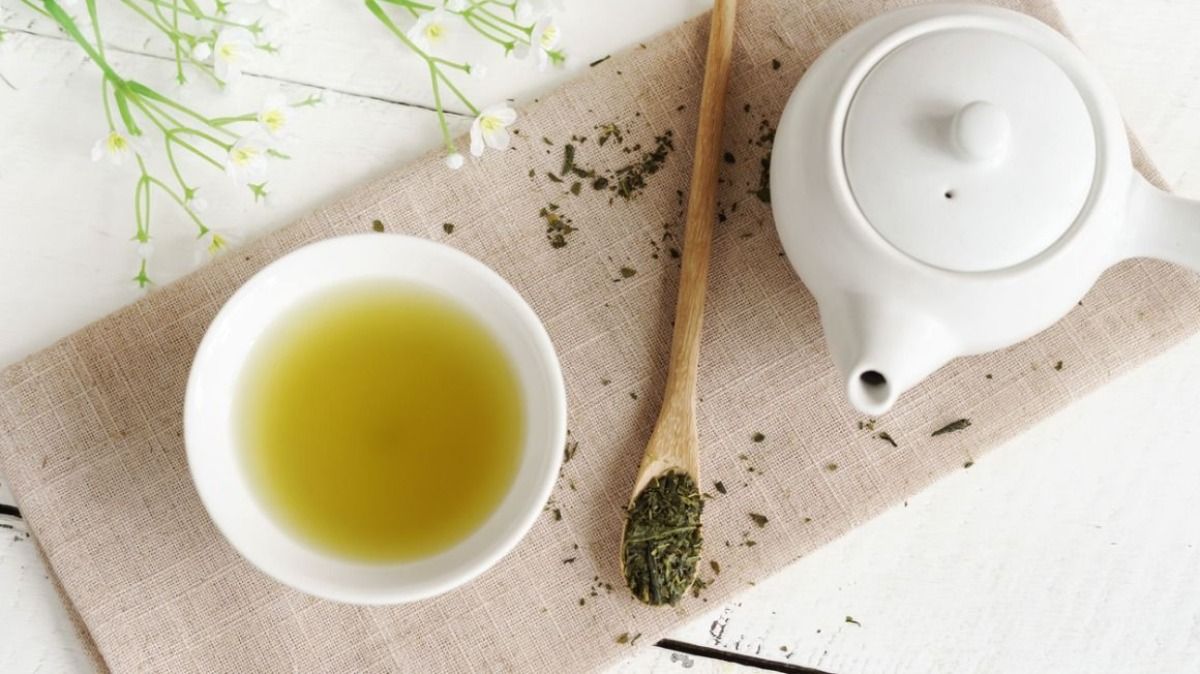 Té para la diabetes: Conoce uno de los mejores