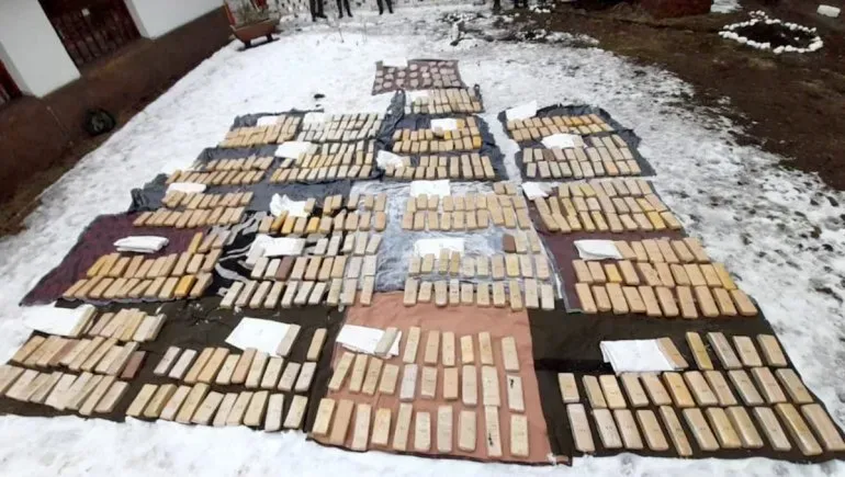 Imagen publicada por 'LMNeuquén' del operativo realizado en Villa Pehuenia el 24 de julio de 2021 donde secuestró más de 500 kilos de marihuana. Imagen publicada por 'LMNeuquén' del operativo realizado en Villa Pehuenia el 24 de julio de 2021 donde secuestró más de 500 kilos de marihuana.