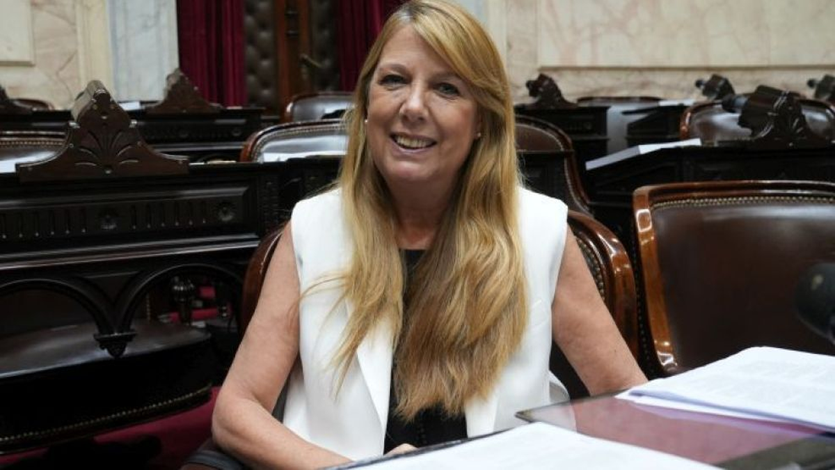 Diputada nacional por Còrdoba Alejandra Torres cuestionó que el gobierno suspendiera la ley de emergencia en discapacidad Diputada nacional por Còrdoba Alejandra Torres cuestionó que el gobierno suspendiera la ley de emergencia en discapacidad