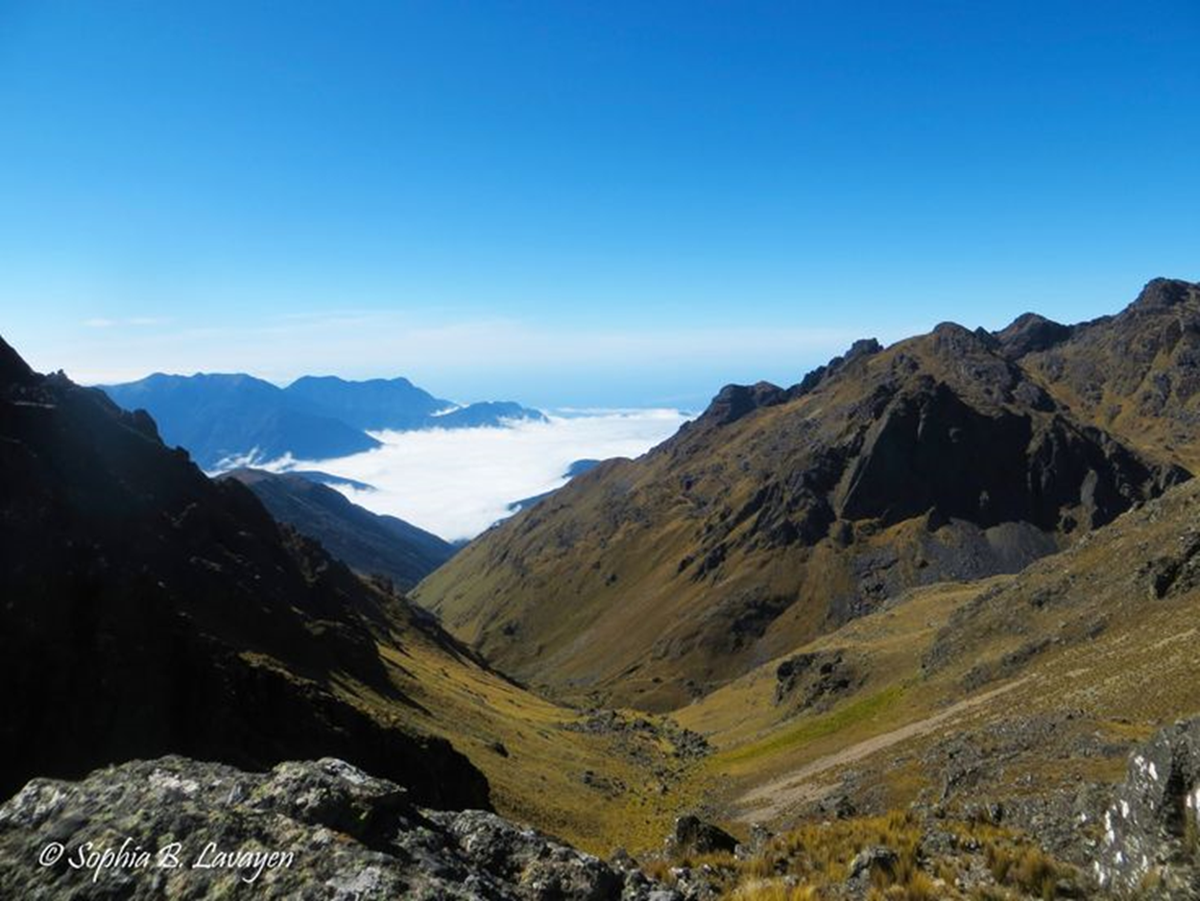 Chapare, Cochabamba, en el centro de Bolivia. Refugio casi inexpugnable de Evo Morales Chapare, Cochabamba, en el centro de Bolivia. Refugio casi inexpugnable de Evo Morales