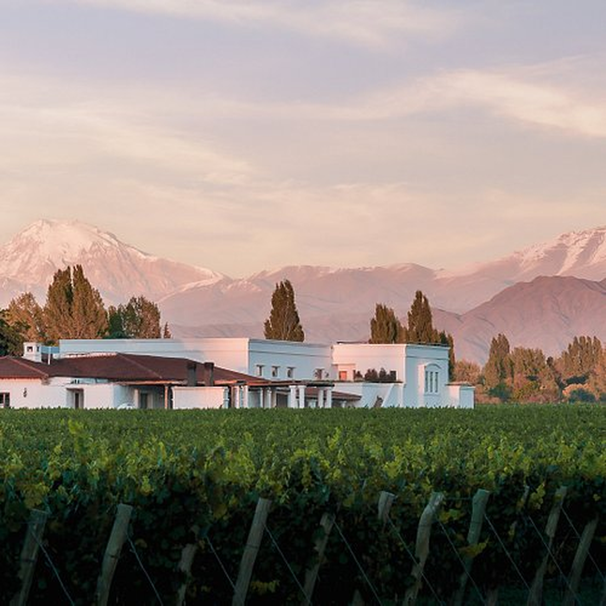 La aerolínea Flybondi te lleva a Mendoza sin escalas, por precios a tener en cuenta. La aerolínea Flybondi te lleva a Mendoza sin escalas, por precios a tener en cuenta.