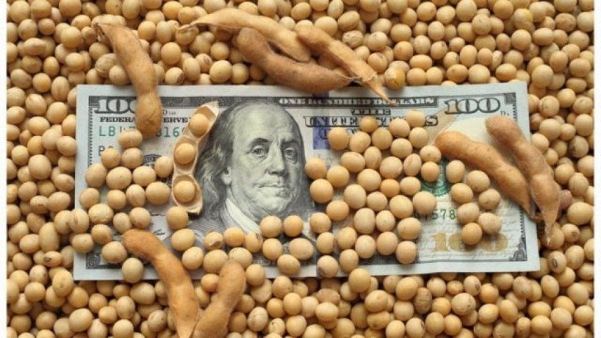 Dólar soja II estará vigente hasta el 31 de diciembre.&nbsp;