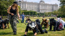 Jóvenes con máscaras animales realizan quadrobics frente al Palacio Real de Madrid: una postal que hoy simboliza la llegada del therianismo al espacio público español.