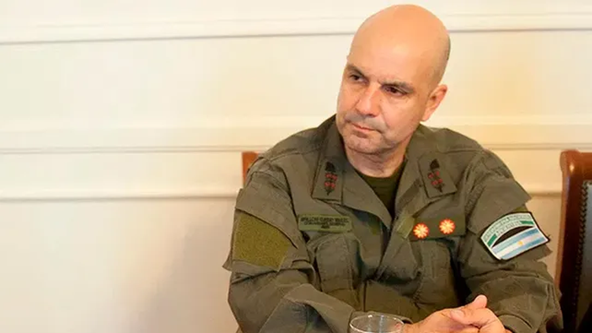 Claudio Brilloni. Claudio Brilloni.