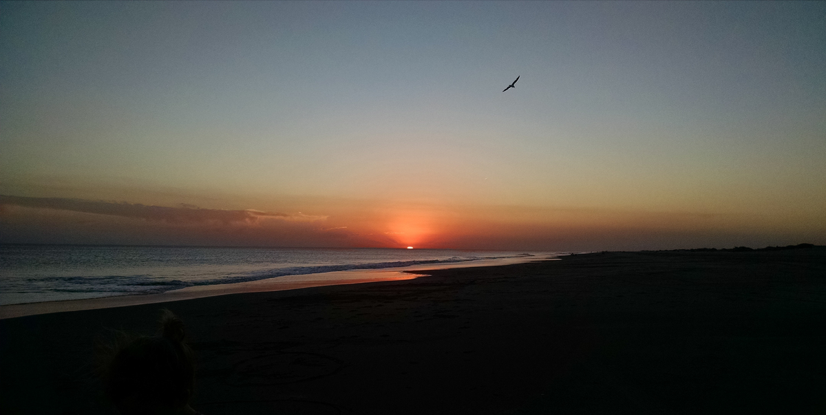 Reta, en Buenos Aires. (Fuente: Foto Community, Ninetiesflower). Reta, en Buenos Aires. (Fuente: Foto Community, Ninetiesflower).