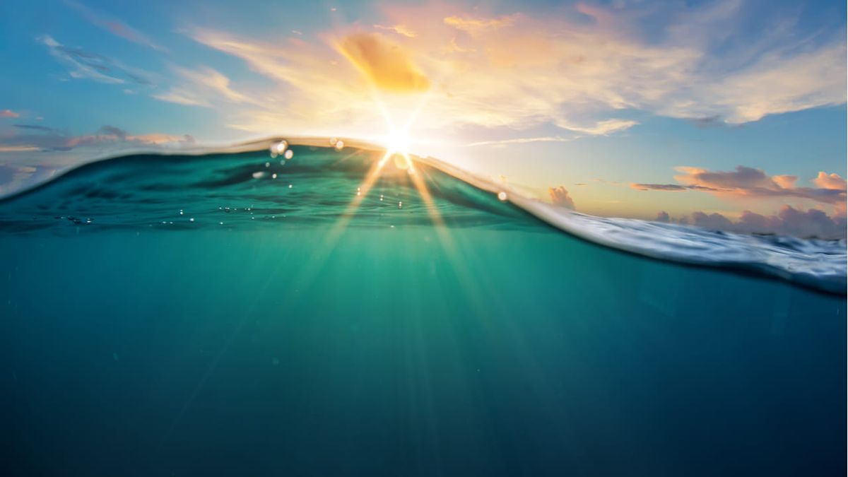 No sólo la temperatura máxima del mar rompió récord en Mar del Plata. Los datos muestran que las mínimas también encienden la alerta.