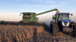Febrero aumentó el ingreso de divisas del agro y el año comenzó de lo mejor