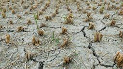 Impacto en la agricultura y ganadería.