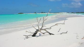¿Cuál playa de Venezuela fue escogida como uno de los paisajes naturales más asombrosos de Sudamérica? ¿Cuál playa de Venezuela fue escogida como uno de los paisajes naturales más asombrosos de Sudamérica?