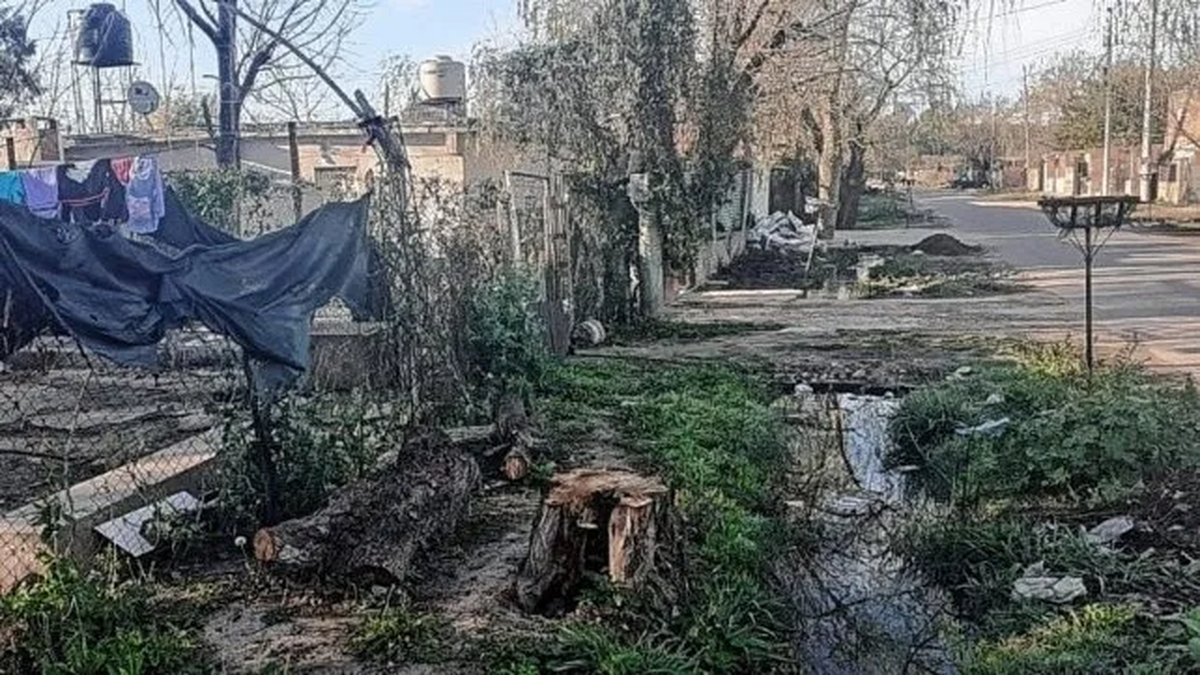 Más imágenes del lugar. Más imágenes del lugar. 