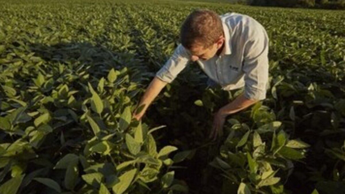 La empresa BASF Soluciones para la Agricultura anunció que completó con éxito la adquisición de AgBitech y amplía su portafolio de control biológico. La empresa BASF Soluciones para la Agricultura anunció que completó con éxito la adquisición de AgBitech y amplía su portafolio de control biológico.