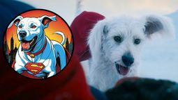 El tráiler de Superman, a estrenarse en julio de 2025, rompió Internet, pero fue Krypto, su amigo de cuatro patas, quien llenó a todos de pura ternura. El tráiler de Superman, a estrenarse en julio de 2025, rompió Internet, pero fue Krypto, su amigo de cuatro patas, quien llenó a todos de pura ternura.