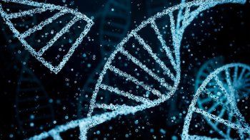 ElDía Mundial del ADN se celebra cada 25 de abril y apunta destacar el rol de lagenética en la detección temprana de enfermedades cada vez más frecuentes. ElDía Mundial del ADN se celebra cada 25 de abril y apunta destacar el rol de lagenética en la detección temprana de enfermedades cada vez más frecuentes.