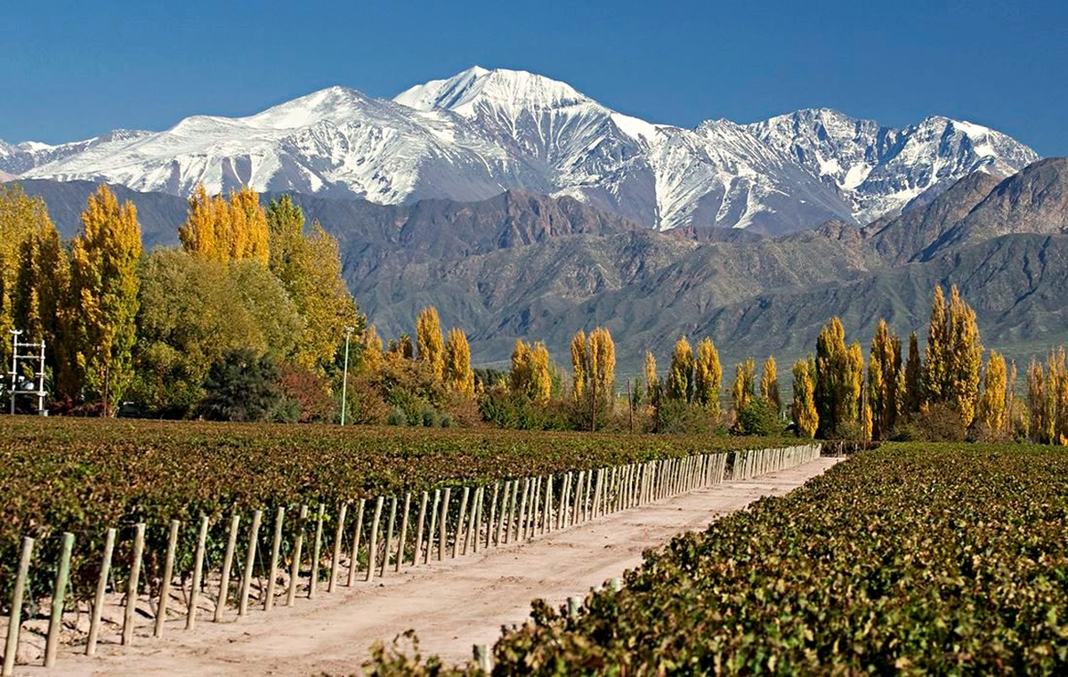 Trenes Argentinos confirmó el regreso de la ruta Buenos Aires - Mendoza.