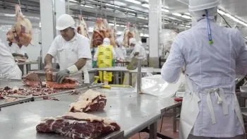 Preocupa el futuro de un frigorífico: Trabajadores al borde del abismo