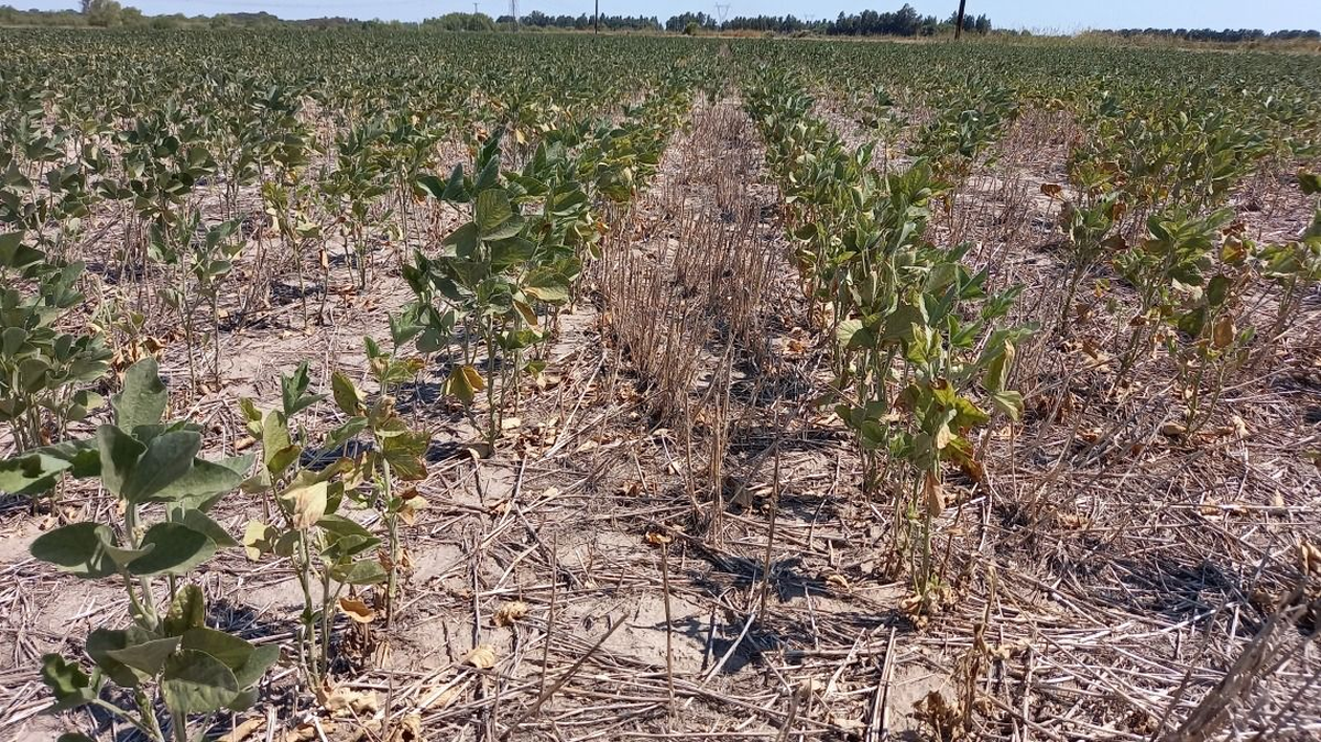 Se les recordó a los productores que aún no hayan gestionado su certificado de emergencia que pueden hacerlo a través de la página web de la Provincia. Se les recordó a los productores que aún no hayan gestionado su certificado de emergencia que pueden hacerlo a través de la página web de la Provincia.