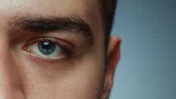 Es alimento es uno de los mejores para la vista, pero poco se habla de ello. Es alimento es uno de los mejores para la vista, pero poco se habla de ello.