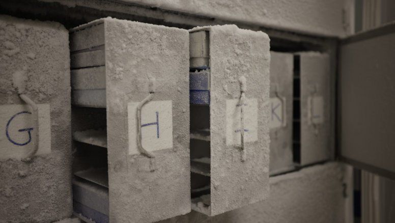 Microbiota Vault: 'Arca de Noé de caca' en ¿Patagonia?