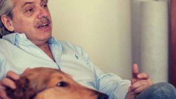altText(Con perrito incluido: TN entrevistó a Alberto F y chicaneó con posible indulto)}
