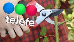 Telefe encara cambios que sacuden su histórica estructura y dejan a varios conductores en alerta. Se viene algo que redefine quién sigue y quién queda afuera. Telefe encara cambios que sacuden su histórica estructura y dejan a varios conductores en alerta. Se viene algo que redefine quién sigue y quién queda afuera.