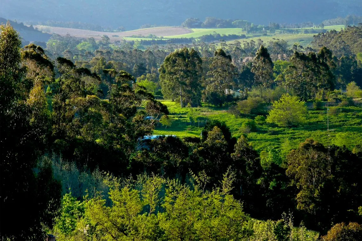 Sierra de los Padres se encuentra entre el mar y la montaña y es uno de los destinos más elegidos para relajar y descansar. Sierra de los Padres se encuentra entre el mar y la montaña y es uno de los destinos más elegidos para relajar y descansar.