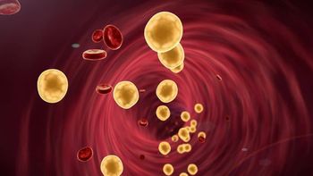 ¿Qué remedios naturales sirven para bajar el colesterol? ¿Qué remedios naturales sirven para bajar el colesterol?