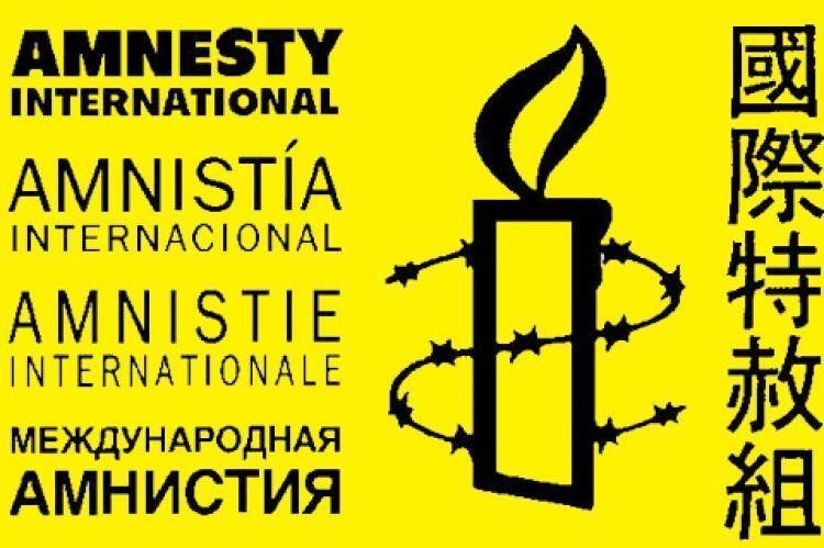 amnistia logo 1599.jpg