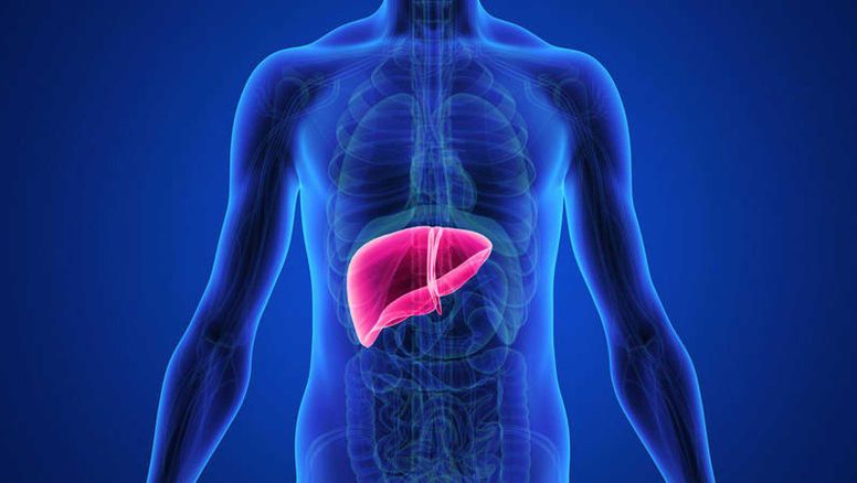 Advertencia de científicos por la crisis de cáncer de hígado que se avecina