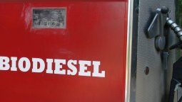 altText(Biodiesel: Denuncian nuevas trabas y piden más corte obligatorio)}