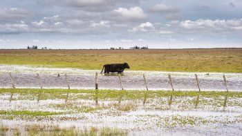 Bolívar en alerta por la llegada de otro frente de tormentas Bolívar en alerta por la llegada de otro frente de tormentas