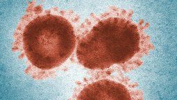 Nuevo virus experimental en China.